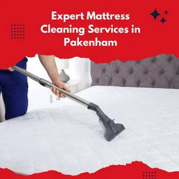 Trusted Carpet Cleaning Expert Mattress Cleaning Services